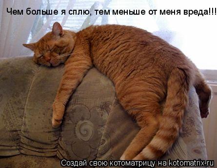 Чем больше я сплю, тем меньше от меня вреда!!!... Котоматрица: Чем больше я сплю, тем меньше от меня вреда!!!