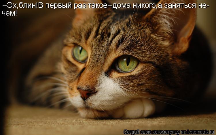 --Эх,блин!В первый раз такое--дома никого,а заняться не- чем!... Котоматрица: --Эх,блин!В первый раз такое--дома никого,а заняться не- чем!