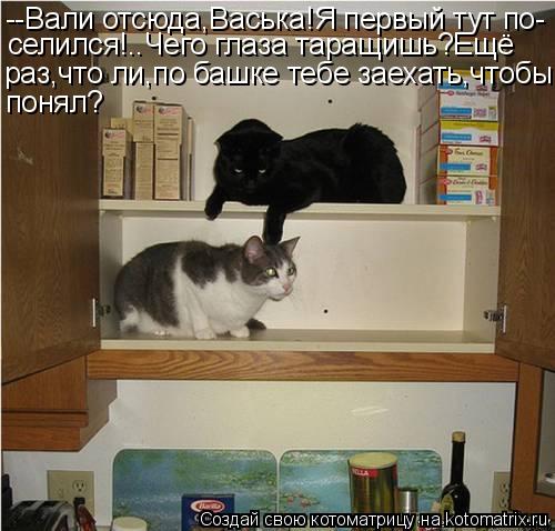 --Вали отсюда,Васька!Я первый тут по- селился!..Чего глаза таращишь?Ещё раз,что ли,по башке тебе заех... Котоматрица: --Вали отсюда,Васька!Я первый тут по- селился!..Чего глаза таращишь?Ещё раз,что ли,по башке тебе заехать,чтобы понял?