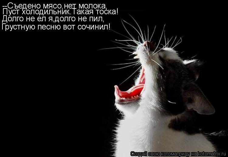 --Съедено мясо,нет молока, Пуст холодильник.Такая тоска! Долго не ел я,долго не пил, Грустную песню в... Котоматрица: --Съедено мясо,нет молока, Пуст холодильник.Такая тоска! Долго не ел я,долго не пил, Грустную песню вот сочинил!