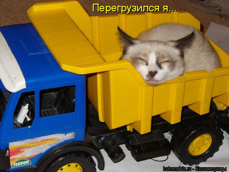 Перегрузился я...... Котоматрица: Перегрузился я...