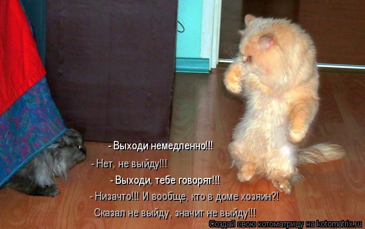 - Низачто!!! И вообще, кто в доме хозяин?! Сказал не выйду, значит не выйду!!! - Выходи немедленно!!!... Котоматрица: - Низачто!!! И вообще, кто в доме хозяин?! Сказал не выйду, значит не выйду!!! - Выходи немедленно!!! - Нет, не выйду!!! - Выходи, тебе говорят!!!