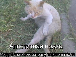 Аппетитная ножка... Котоматрица: Аппетитная ножка