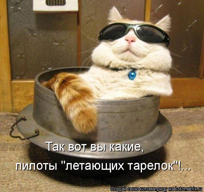 Так вот вы какие, пилоты "летающих тарелок"!...... Котоматрица: Так вот вы какие, пилоты "летающих тарелок"!...