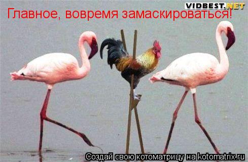 Главное, вовремя замаскироваться!... Котоматрица: Главное, вовремя замаскироваться!