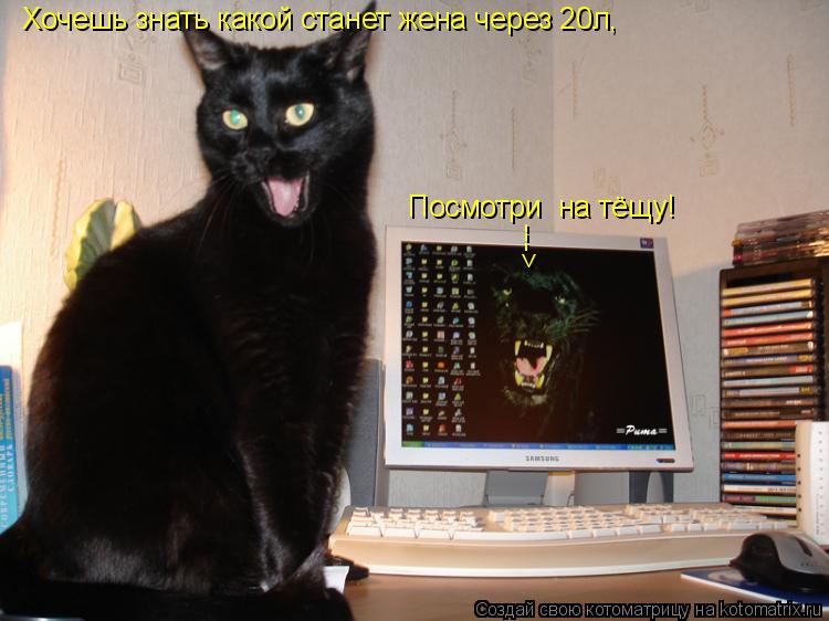 Хочешь знать какой станет жена через 20л, Посмотри на тёщу! --->... Котоматрица: Хочешь знать какой станет жена через 20л, Посмотри на тёщу! --->