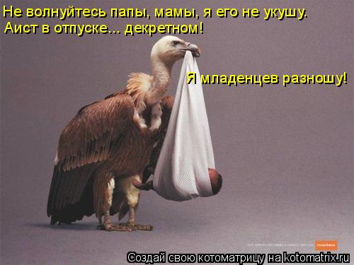 Не волнуйтесь папы, мамы, я его не укушу. Аист в отпуске... декретном! Я младенцев разношу!... Котоматрица: Не волнуйтесь папы, мамы, я его не укушу. Аист в отпуске... декретном! Я младенцев разношу!