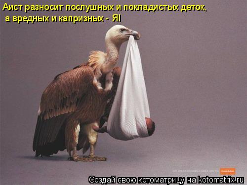 Аист разносит послушных и покладистых деток, а вредных и капризных - Я!... Котоматрица: Аист разносит послушных и покладистых деток, а вредных и капризных - Я!