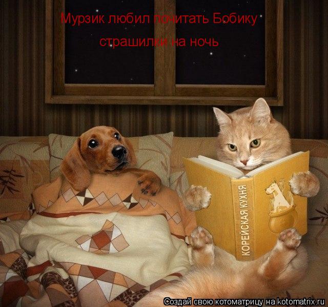 Мурзик любил почитать Бобику страшилки на ночь... Котоматрица: Мурзик любил почитать Бобику страшилки на ночь