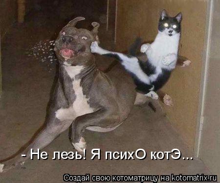 - Не лезь! Я психО котЭ...... Котоматрица: - Не лезь! Я психО котЭ...