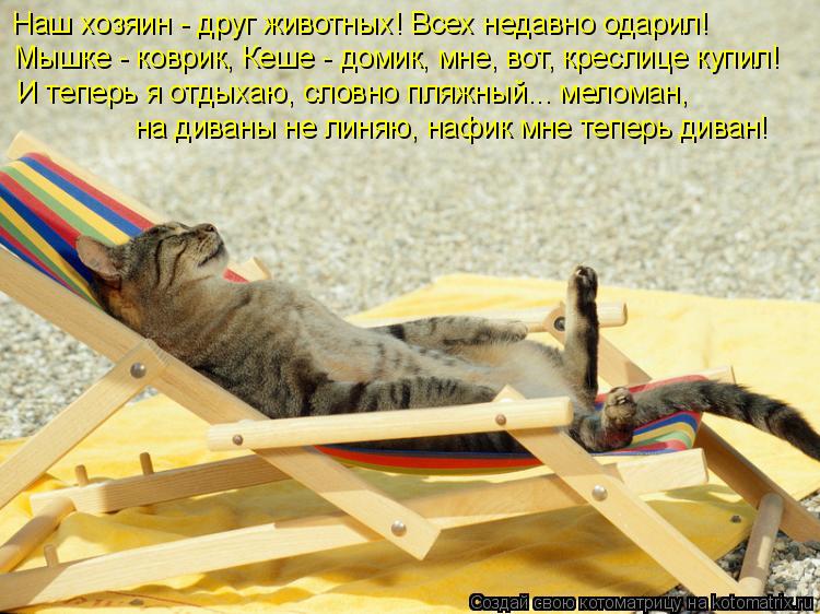 Наш хозяин - друг животных! Всех недавно одарил! Мышке - коврик, Кеше - домик, мне, вот, креслице ку... Котоматрица: Наш хозяин - друг животных! Всех недавно одарил! Мышке - коврик, Кеше - домик, мне, вот, креслице купил! И теперь я отдыхаю, словно пляжный... мел