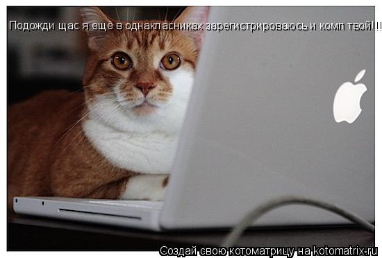 Подожди щас я ещё в однакласниках зарегистрироваюсь и комп твой!!!... Котоматрица: Подожди щас я ещё в однакласниках зарегистрироваюсь и комп твой!!!