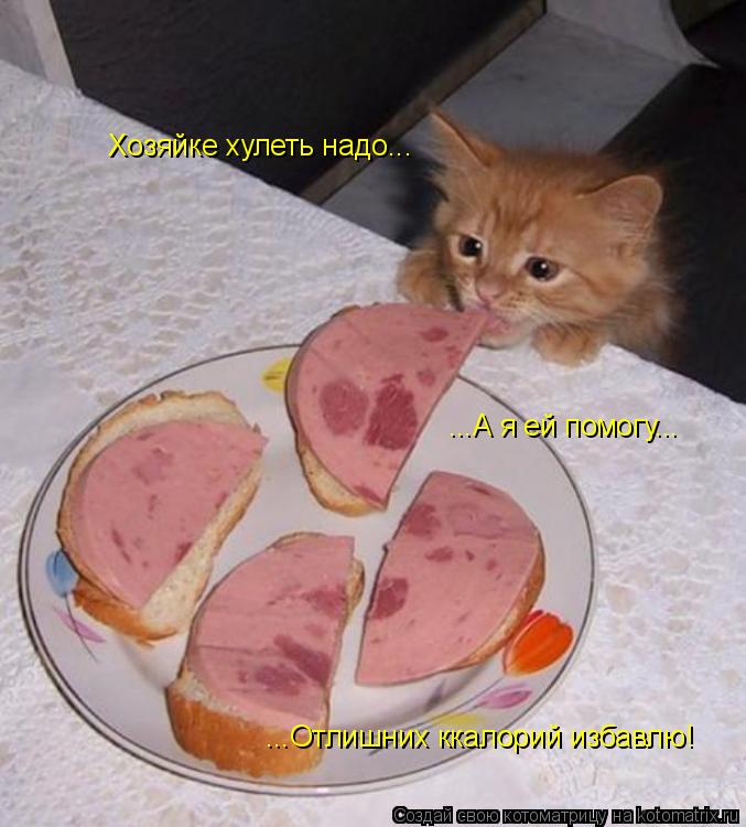 Хозяйке хулеть надо... ...А я ей помогу... ...Отлишних ккалорий избавлю!... Котоматрица: Хозяйке хулеть надо... ...А я ей помогу... ...Отлишних ккалорий избавлю!