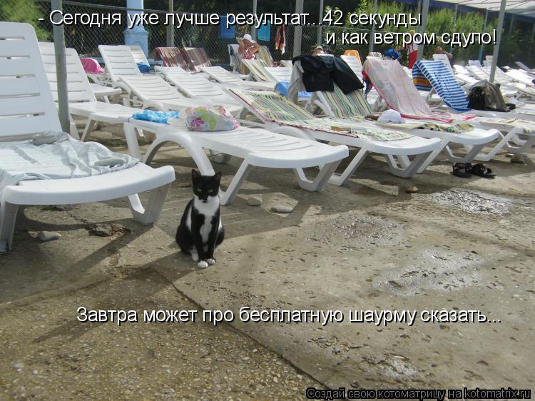 - Сегодня уже лучше результат...42 секунды и как ветром сдуло! Завтра может про бесплатную шаурму ск... Котоматрица: - Сегодня уже лучше результат...42 секунды и как ветром сдуло! Завтра может про бесплатную шаурму сказать...