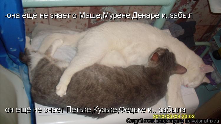 -она ещё не знает о Маше,Мурёне,Денаре и..забыл он ещё не знает Петьке,Кузьке,Федьке и...забыла... Котоматрица: -она ещё не знает о Маше,Мурёне,Денаре и..забыл он ещё не знает Петьке,Кузьке,Федьке и...забыла