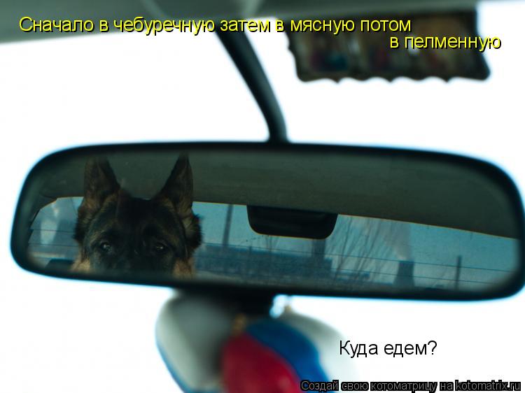 Куда едем? Сначало в чебуречную затем в мясную потом в пелменную... Котоматрица: Куда едем? Сначало в чебуречную затем в мясную потом в пелменную