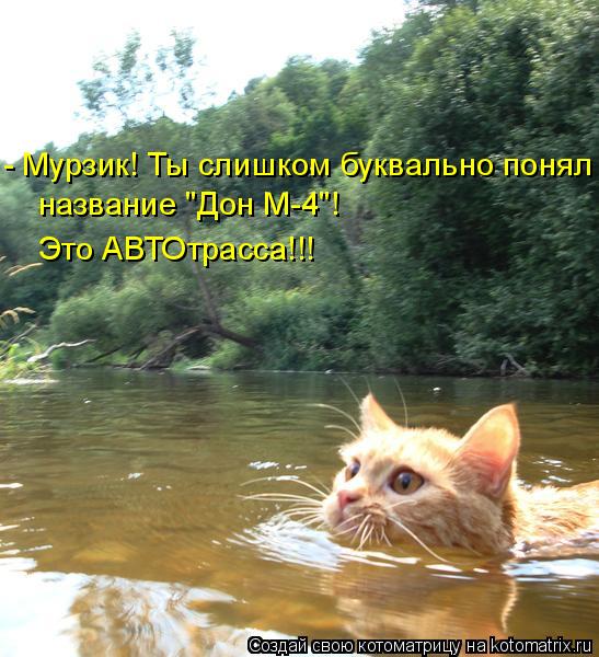 название "Дон М-4"! Это АВТОтрасса!!! - Мурзик! Ты слишком буквально понял... Котоматрица: название "Дон М-4"! Это АВТОтрасса!!! - Мурзик! Ты слишком буквально понял