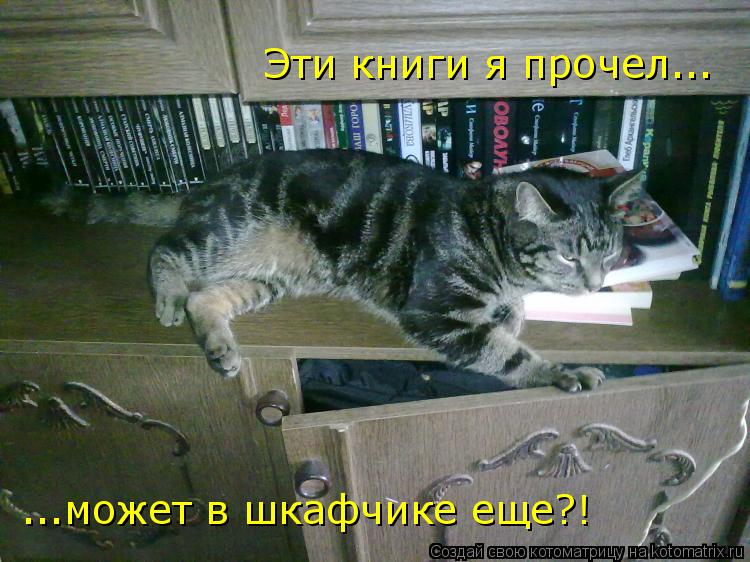 Эти книги я прочел... ...может в шкафчике еще?!... Котоматрица: Эти книги я прочел... ...может в шкафчике еще?!