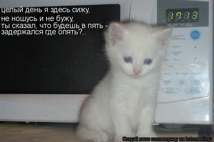 целый день я здесь сижу, не ношусь и не бужу, ты сказал, что будешь в пять - задержался где опять?..... Котоматрица: целый день я здесь сижу, не ношусь и не бужу, ты сказал, что будешь в пять - задержался где опять?..