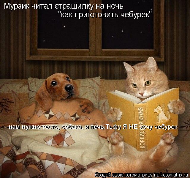 Мурзик читал страшилку на ночь "как приготовить чебурек" -нам нужно:тесто, собака, и печь.Тьфу Я НЕ х... Котоматрица: Мурзик читал страшилку на ночь "как приготовить чебурек" -нам нужно:тесто, собака, и печь.Тьфу Я НЕ хочу чебурек