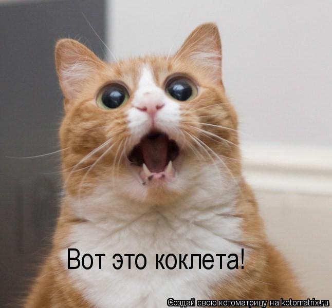 Вот это коклета!... Котоматрица: Вот это коклета!