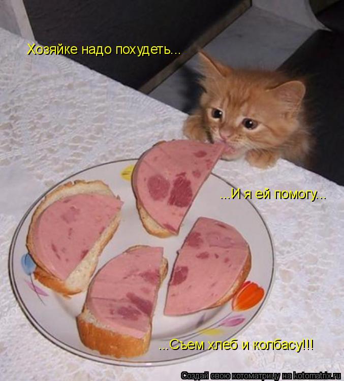 Хозяйке надо похудеть... ...И я ей помогу... ...Съем хлеб и колбасу!!!... Котоматрица: Хозяйке надо похудеть... ...И я ей помогу... ...Съем хлеб и колбасу!!!