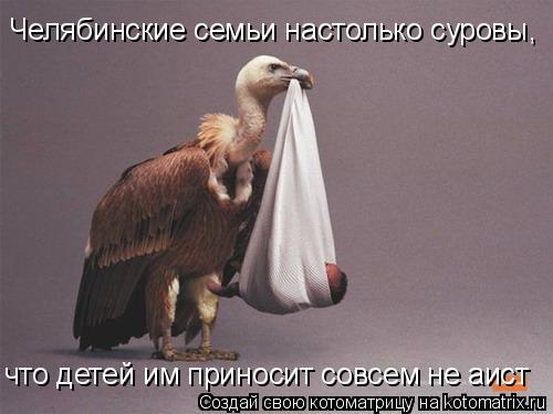 Челябинские семьи настолько суровы, что детей им приносит совсем не аист... Котоматрица: Челябинские семьи настолько суровы, что детей им приносит совсем не аист