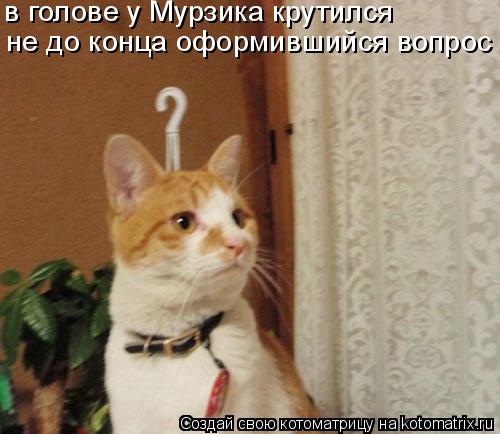 не до конца оформившийся вопрос в голове у Мурзика крутился... Котоматрица: не до конца оформившийся вопрос в голове у Мурзика крутился