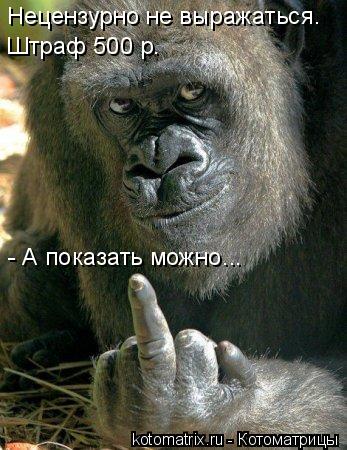 Нецензурно не выражаться. Штраф 500 р. - А показать можно...... Котоматрица: Нецензурно не выражаться. Штраф 500 р. - А показать можно...