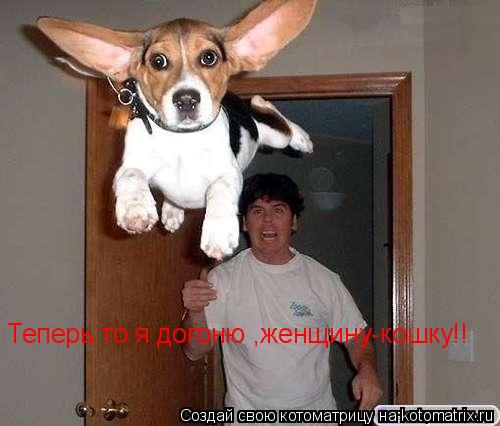 Теперь то я догоню ,женщину-кошку!!... Котоматрица: Теперь то я догоню ,женщину-кошку!!