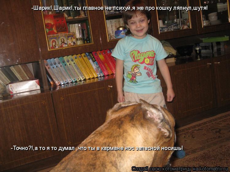 -Шарик!,Шарик!,ты главное не психуй,я же про кошку ляпнул,шутя! -Точно?!,а то я то думал ,что ты в ка... Котоматрица: -Шарик!,Шарик!,ты главное не психуй,я же про кошку ляпнул,шутя! -Точно?!,а то я то думал ,что ты в кармане нос запасной носишь!
