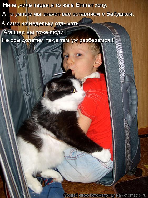 Ниче ,ниче пацан,я то же в Египет хочу. А то умные мы значит вас оставляем с Бабушкой. А сами на неде... Котоматрица: Ниче ,ниче пацан,я то же в Египет хочу. А то умные мы значит вас оставляем с Бабушкой. А сами на недельку отдыхать Ага щас мы тоже люди.! Не ссы