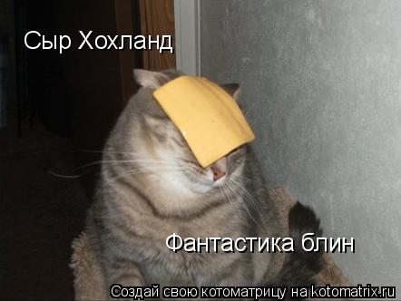 Сыр Хохланд Фантастика блин... Котоматрица: Сыр Хохланд Фантастика блин