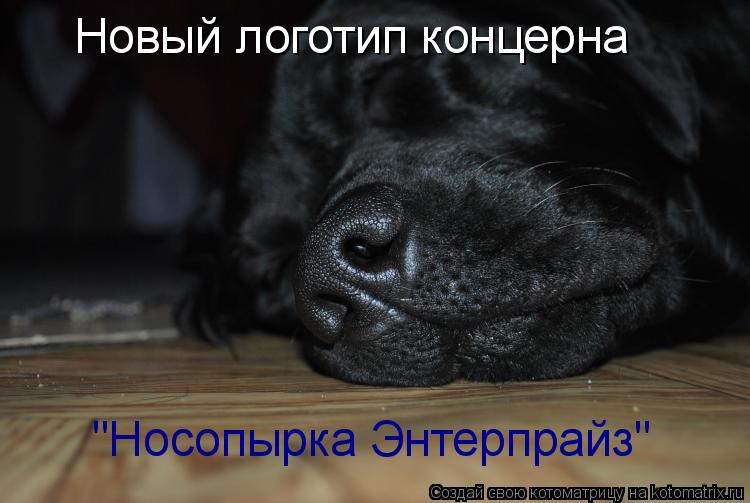 Новый логотип концерна "Носопырка Энтерпрайз"... Котоматрица: Новый логотип концерна "Носопырка Энтерпрайз"