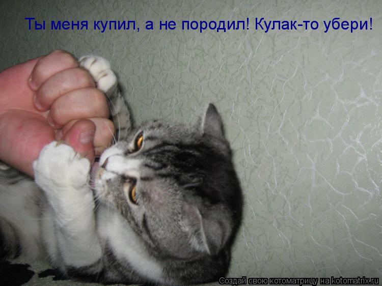 Ты меня купил, а не породил! Кулак-то убери!... Котоматрица: Ты меня купил, а не породил! Кулак-то убери!