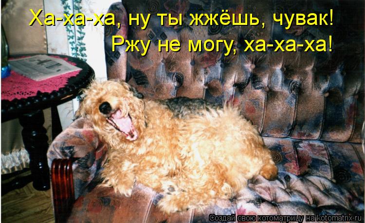 Ха-ха-ха, ну ты жжёшь, чувак! Ржу не могу, ха-ха-ха!... Котоматрица: Ха-ха-ха, ну ты жжёшь, чувак! Ржу не могу, ха-ха-ха!