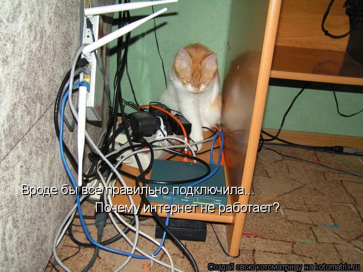 Вроде бы все правильно подключила... Почему интернет не работает?... Котоматрица: Вроде бы все правильно подключила... Почему интернет не работает?