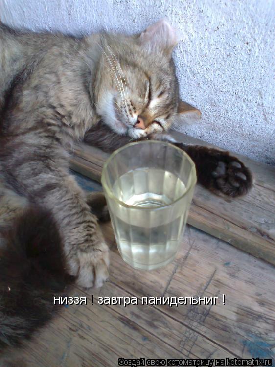 низзя ! завтра панидельниг !... Котоматрица: низзя ! завтра панидельниг !