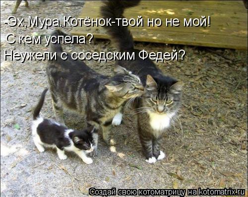 -Эх,Мура.Котёнок-твой но не мой! С кем успела? Неужели с соседским Федей?... Котоматрица: -Эх,Мура.Котёнок-твой но не мой! С кем успела? Неужели с соседским Федей?