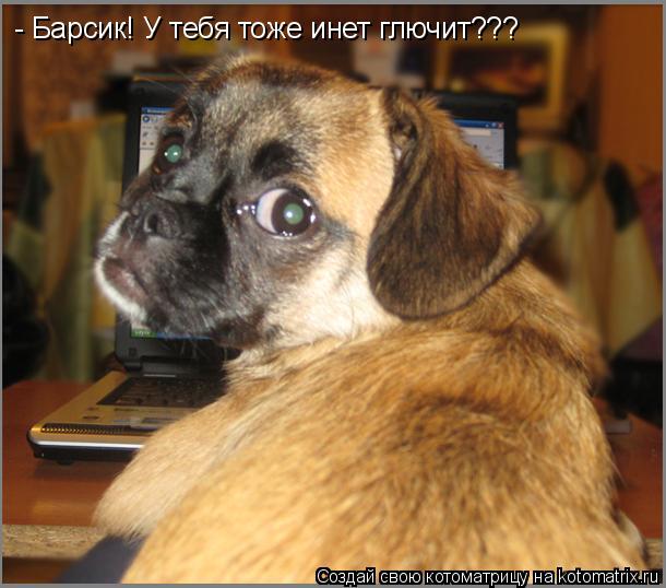 - Барсик! У тебя тоже инет глючит???... Котоматрица: - Барсик! У тебя тоже инет глючит???