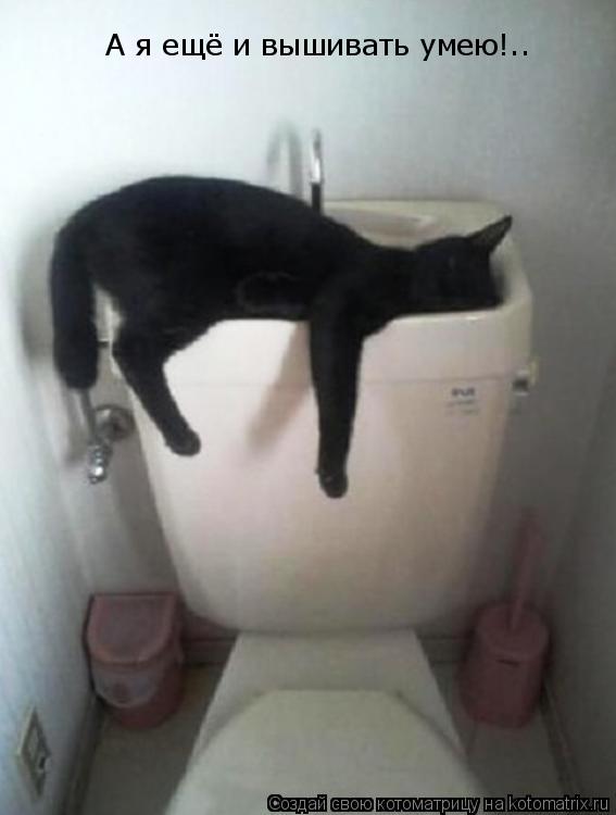 Котоматрица: А я ещё и вышивать умею!..