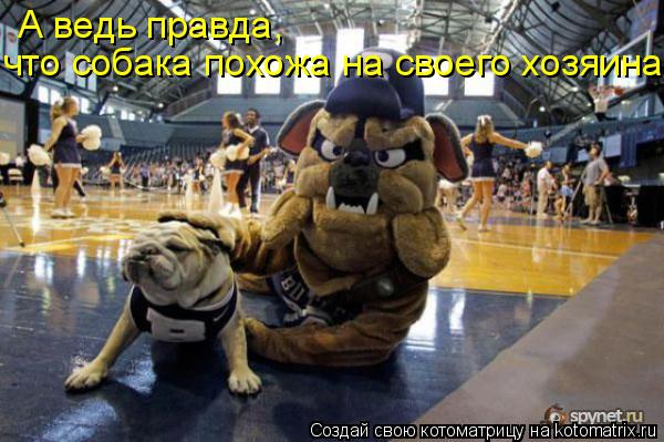 Котоматрица: А ведь правда, что собака похожа на своего хозяина!