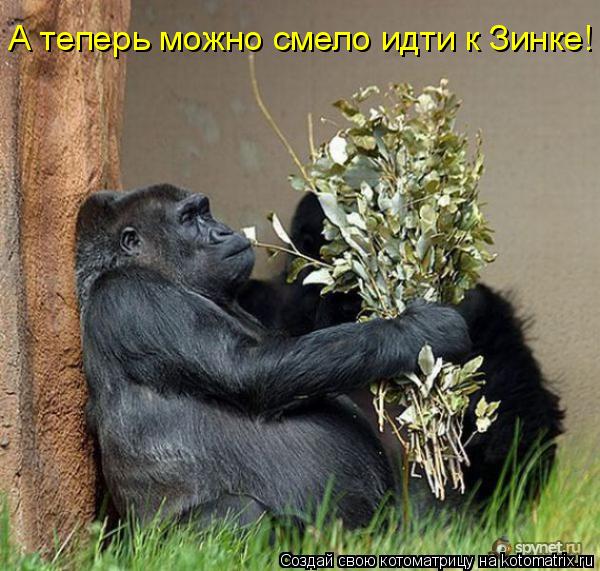 Котоматрица: А теперь можно смело идти к Зинке!