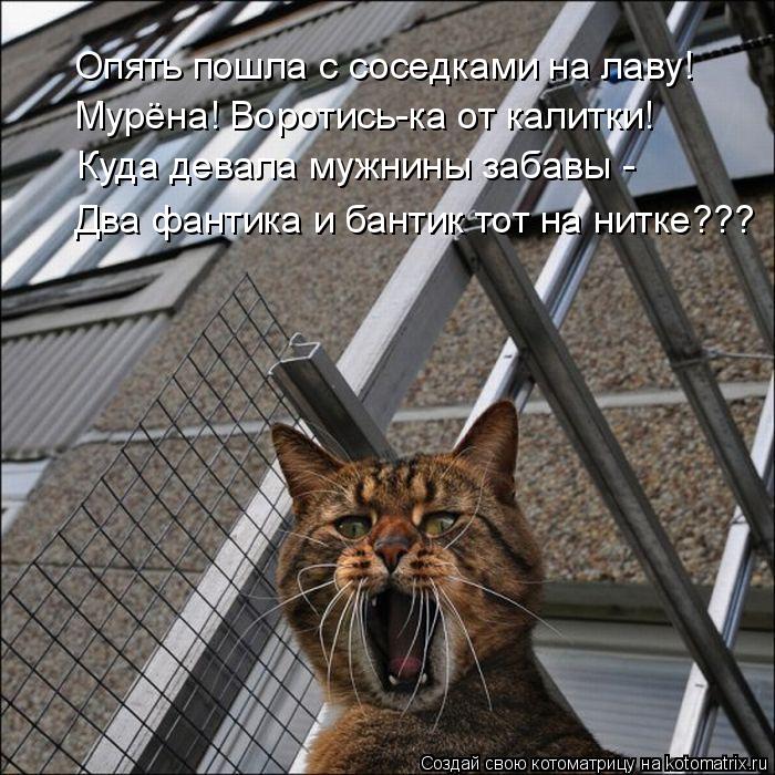 Котоматрица: Опять пошла с соседками на лаву! Мурёна! Воротись-ка от калитки! Куда девала мужнины забавы - Два фантика и бантик тот на нитке???