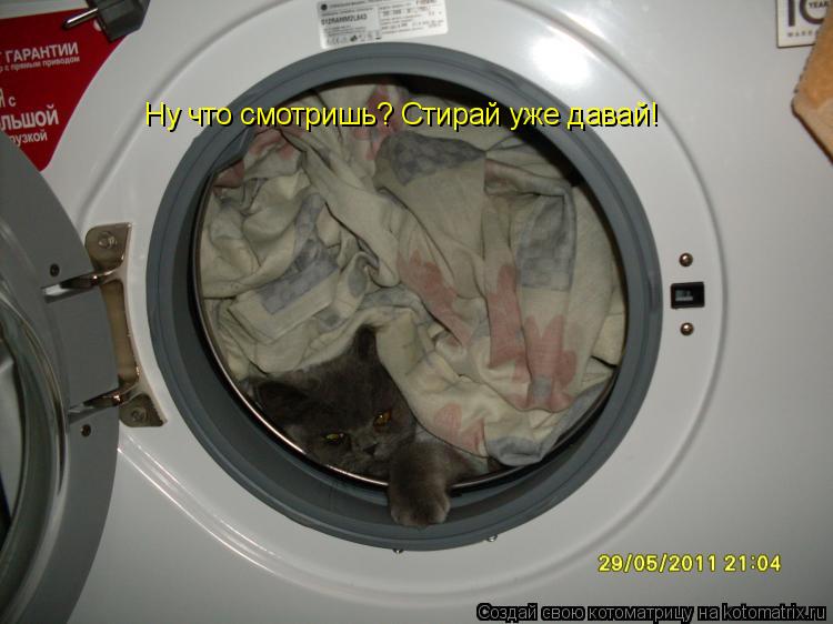 Котоматрица: Ну что смотришь? Стирай уже давай!