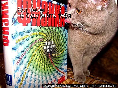 Котоматрица: Вот тебе не буду учить тебя
