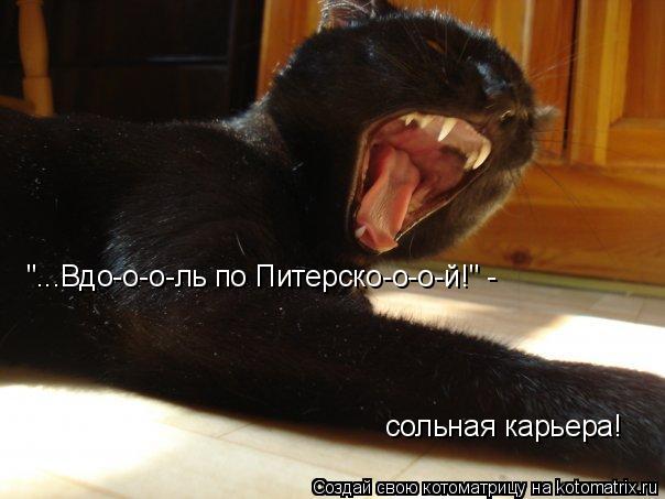 "...Вдо-о-о-ль по Питерско-о-о-й!" - сольная карьера!... Котоматрица: "...Вдо-о-о-ль по Питерско-о-о-й!" - сольная карьера!