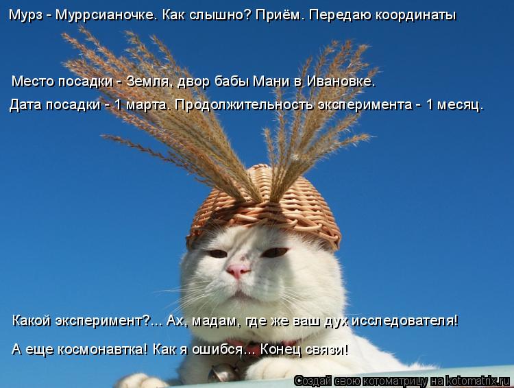 Место посадки - Земля, двор бабы Мани в Ивановке. Дата посадки - 1 марта. Продолжительность экспериме... Котоматрица: Место посадки - Земля, двор бабы Мани в Ивановке. Дата посадки - 1 марта. Продолжительность эксперимента - 1 месяц. Мурз - Муррсианочке. Как слы