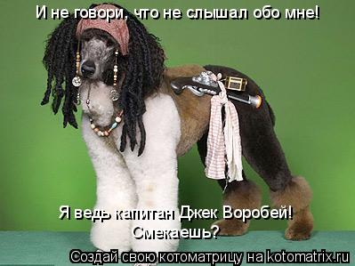 И не говори, что не слышал обо мне! Я ведь капитан Джек Воробей! Смекаешь?... Котоматрица: И не говори, что не слышал обо мне! Я ведь капитан Джек Воробей! Смекаешь?
