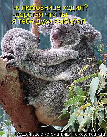 -к любовнице ходил? -дорогая что ты. я тебе духи выбирал.... Котоматрица: -к любовнице ходил? -дорогая что ты. я тебе духи выбирал.